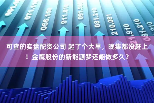 可查的实盘配资公司 起了个大早，晚集都没赶上！金鹰股份的新能源梦还能做多久？