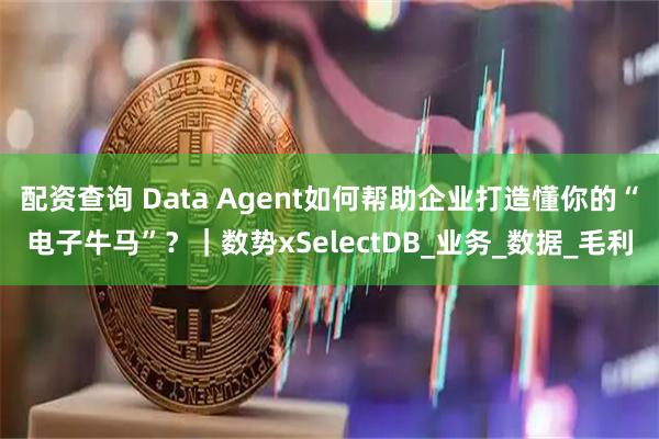 配资查询 Data Agent如何帮助企业打造懂你的“电子牛马”？｜数势xSelectDB_业务_数据_毛利